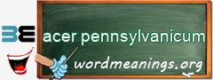 WordMeaning blackboard for acer pennsylvanicum